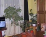 Eladó Lakás Miskolc