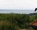 Eladó Telek/földterület Balatonalmádi